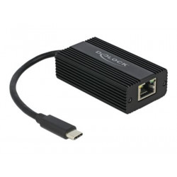 Delock Adapter USB Type-C male to 2.5 Gigabit LAN - Síťový adaptér - USB-C 3.1 Gen 1 - 2.5GBase-T - černá
