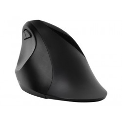 Kensington Pro Fit Ergo Wireless Mouse - Myš - ergonomický - 5 tlačítka - bezdrátový - 2.4 GHz, Bluetooth 4.0 LE - bezdrátový přijímač USB - černá - maloobchod