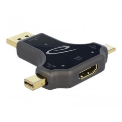 Delock - Video adaptér - DisplayPort, Mini DisplayPort, USB-C s piny (male) do HDMI se zdířkami (female) - antracit - podporuje 4K