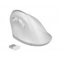 Delock Ergonomic - Vertikální myš - ergonomický - pravák - optický - 6 tlačítka - bezdrátový - 2.4 GHz - bezdrátový přijímač USB - bílá - maloobchod