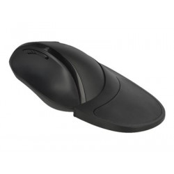 Delock Ergonomic - Vertikální myš - ergonomický - pravák - optický - 5 tlačítka - bezdrátový - 2.4 GHz - bezdrátový přijímač USB - černá - maloobchod