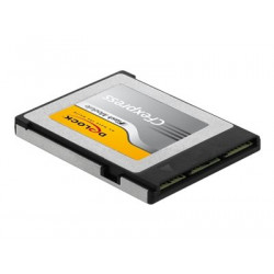Delock - Paměťová karta flash - 256 GB - CFexpress