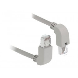 Delock - Patch kabel - RJ-45 (M) zahnutí nahoru do RJ-45 (M) zahnutí dolů - 2 m - S FTP - CAT 6a - bootovaný, neobsahuje halogen - šedá