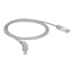 Delock - Patch kabel - RJ-45 (M) zahnutí dolů do RJ-45 (M) rovné - 1 m - S FTP - CAT 6a - neobsahuje halogen - šedá