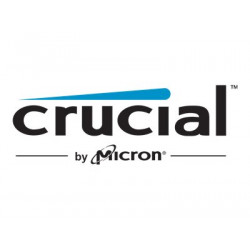 Crucial - DDR4 - modul - 4 GB - DIMM 288-pin - 2666 MHz PC4-21300 - CL19 - 1.2 V - bez vyrovnávací paměti - bez ECC