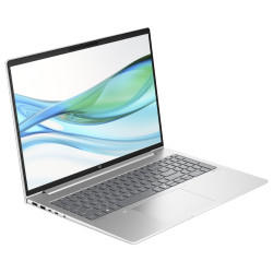HP ProBook 465 G11 16" R7-7735U 32 GB 1 TB AMD Radeon 680M Graphics Windows 11 Pro Stříbrná