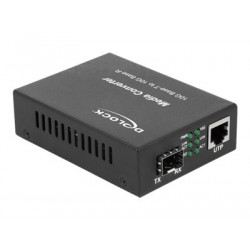 Delock - Konvertor médií s optickými vlákny - 10 GigE - 1000Base-T, 1000Base-X, 10GBase-T, 10GBase-R, 2.5GBase-T, 5GBase-T, 5GBase-R, 2.5GBase-X - SFP+ RJ-45