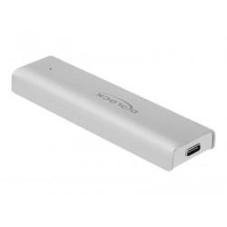Delock - Kryt úložiště - M.2 NVMe Card - 10 GBps - USB 3.2 (Gen 2) - stříbrná