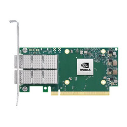 ConnectX-6 Dx EN adapter card 100GbE Du