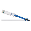 10G SFP+DAC Twinax Cbl 3m Passive