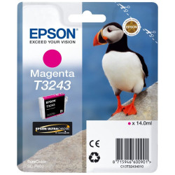 Epson inkoustová náplň T3243 Magenta