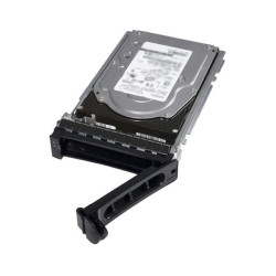 DELL disk 1.92TB SSD vSAS Read Int. SED 2.5" PowerEdge R750,R7525,R760,R260,R340,R350,R360,R450,R550,R650,R6515,R6525