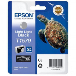 Epson inkoustová náplň C13T15794010 StylusPhotoR3000 Světlá Světlá Černá