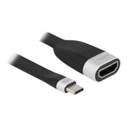 Delock - Video adaptér - USB-C s piny (male) do HDMI se zdířkami (female) - 13.5 cm - černá, stříbrná - podporuje 4K, USB napájení