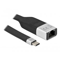 Delock - Síťový adaptér - USB-C 3.2 Gen 1 - Gigabit Ethernet - černá, stříbrná