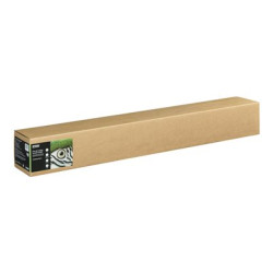 Epson Fine Art - Bavlna - matný - 490 mikronů - jasný - Role 111,8 cm x 15 m) - 300 g m? - 1 role bavlněný papír - pro SureColor SC-P20000, SC-P20000SE, SC-P8000, SC-P9000, SC-P9000V