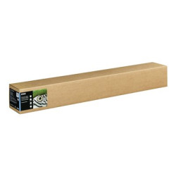 Epson Fine Art Hot Press Natural - Bavlna - matný - 490 mikronů - Role 111,8 cm x 15 m) - 300 g m2 - 1 role bavlněný papír - pro SureColor SC-P20000, SC-P20000SE, SC-P8000, SC-P9000, SC-P9000V