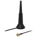 Teltonika WiFi Dual-Band SMA anténa