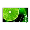 Sharp NEC MultiSync E328-2 LCD IPS 32" 1920 x 1080 9ms 400 nitů 1100:1 60Hz 16/7