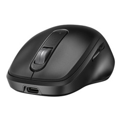 HP 515 - Myš - plné velikosti, ultra rychlé nabíjení - 5 tlačítka - bezdrátový - 2.4 GHz - bezdrátový přijímač USB - černá
