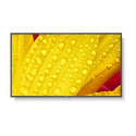 Sharp NEC MultiSync M431-2 LCD IPS 43" 3840 x 2160 8ms 400 nitů 1200:1 60Hz 18/7
