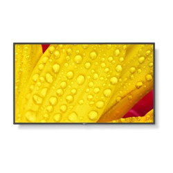 Sharp NEC MultiSync M431-2 LCD IPS 43" 3840 x 2160 8ms 400 nitů 1200:1 60Hz 18/7
