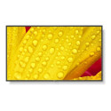 Sharp NEC MultiSync M651-2 LCD IPS 65" 3840 x 2160 6ms 500 nitů 8000:1 60Hz 24/7
