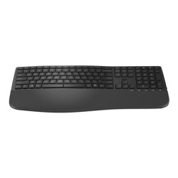 HP 685 - Klávesnice - duální režim, 3-zónové uspořádání, podpora více zařízení, 23 programovatelných kláves, automatické rozpoznání OS, nízký zdvih kláves - 100% - full size - bezdrátový - 2.4 GHz - česká slovenská - černá - promo