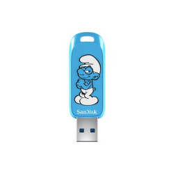 Brainy Smurf USB 3.2 Gen1 64GB 130MBs