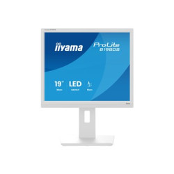 iiyama ProLite B1980S-W1 - LED monitor - 19" - 1280 x 1024 @ 75 Hz - TN - 250 cd m? - 1000:1 - 3 ms - HDMI, DisplayPort - reproduktory - bílá, matná