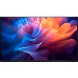 Dell P2725H/bez stojanu LCD IPS/PLS/WVA 27" 1920 x 1080 5ms 300nitů 1 500:1 100Hz    USB-C  Černá