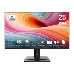 MSI Pro MP252 E2 24,5" IPS FHD 120Hz 1ms Black 2R