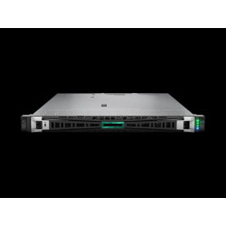 HPE PL DL320g11 4510 (2.4 12C) 2x32G (p64706) 2x480G (P40497) MR408i-o 8SFF 2x1000W 2x1Gb Smart Choice