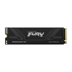 Kingston Fury Renegade G5 4TB SSD M.2 NVMe Černá Heatsink 5R