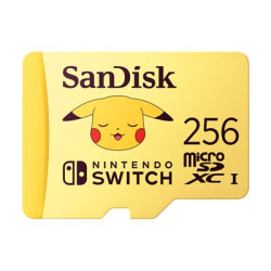 SanDisk - Paměťová karta flash - 256 GB - Video Class V30 UHS-I U3 - microSDXC UHS-I