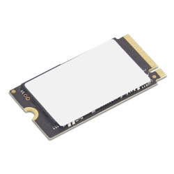 Lenovo ThinkPad 512GB SSD M.2 NVMe Černá 1R