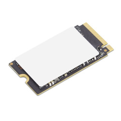 Lenovo ThinkPad 256GB SSD M.2 NVMe Černá 1R