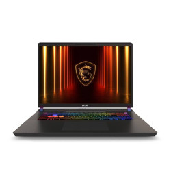 MSI Vector 17 HX AI A2XWHG-035CZ U9-275HX 17" 2560x1600 32GB 2TB RTX 5070Ti W11H Gray 2R