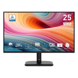 MSI PRO MP251L E2 monitor 24,5" FHD IPS 1ms 120Hz HDMI D-Sub černá