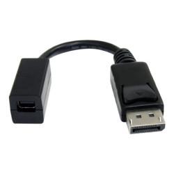 StarTech.com 6in DisplayPort to Mini DisplayPort Video Cable Adapter (DP2MDPMF6IN) - Adaptér DisplayPort - DisplayPort (M) do Mini DisplayPort (F) - 15.2 cm - lisovaný - pro P N: SV231DPU, SV231DPUA
