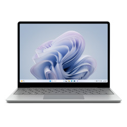 DEMO: MS Srfc Lptp Go 3 - i5 8 256 W11P, Platinum