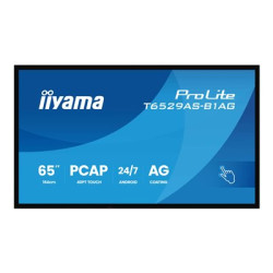 T6529AS-B1AG, T6529AS-B1AG 65 AIO Interactive Display