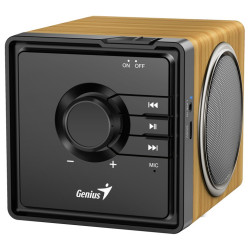 GENIUS repro SP-916BT Bluetooth 5.3 6W mikrofon barva světlé dřevo