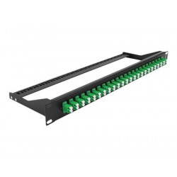 Delock - Propojovací panel - montáž do racku - LC Duplex SM X 24 - černá, zelená - 1U - 19"