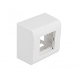 Delock - Easy 45 - box s montáží na povrch - 2 moduly - bílá, RAL 9003