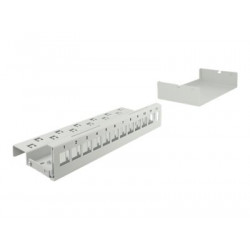 Delock - Záslepný patch panel keystone - montáž na stěnu, montáž na kolejnici DIN - šedá - 12 portů