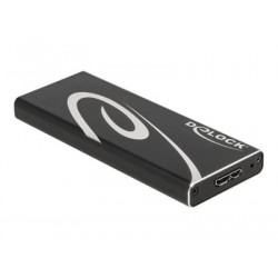 Delock - Kryt úložiště - M.2 - 1 Kanál - M.2 Card - USB 3.2 (Gen 2) - černá