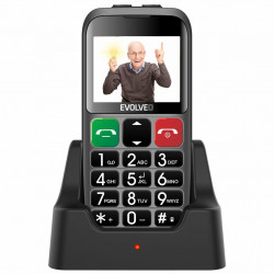 EVOLVEO EasyPhone EB, mobilní telefon pro seniory, stříbrná