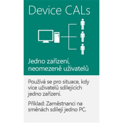 MS OEM Windows Server CAL 2019 EN 1pk 5 Device CAL