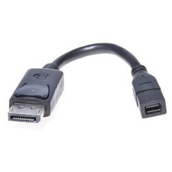 PremiumCord DisplayPort adapter na mini, DP Male - mini DP Female, 17cm